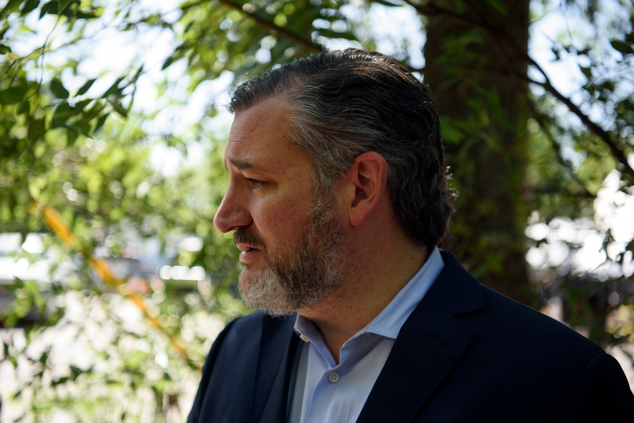 Ted Cruz will run for Senate in 2024